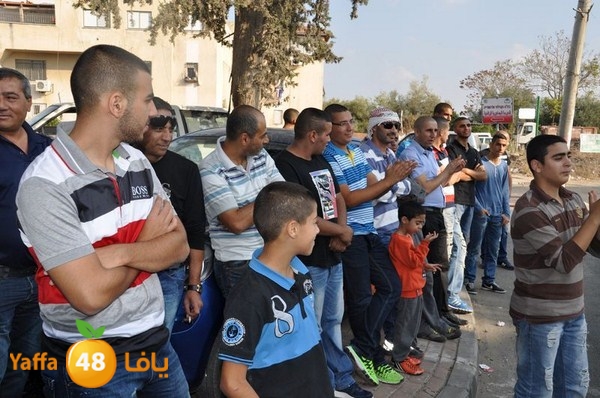 3ares abo 3arar 1129 (12).JPG